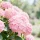 c3d968c0-31ec-4964-af24-be4f799f2ad6-_ereere5tx.webp