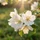 32fb3bec-39bc-492a-b935-ac752c9a9cbe-28cd6246f9c11f197a67e45978b4d69_4.jpeg