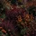 44b7395b-c92d-487b-ba2b-3f289aa82086-a0360bd6ca411f184f05ab66c6c4a45_3.jpeg